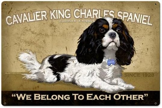 Home Decor Shop - Retro Metal Tabela Cavalier King Charles