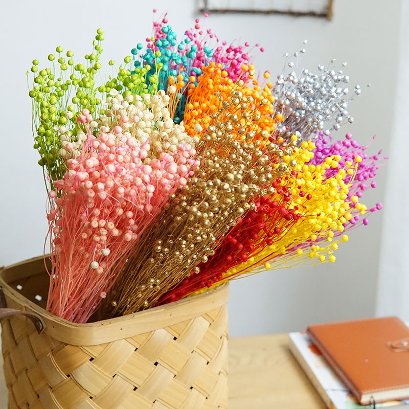 Home Decor Manufacturers - 35g/Korunmuş Ormosia Hosiei Doğal Gerçek Çiçekler