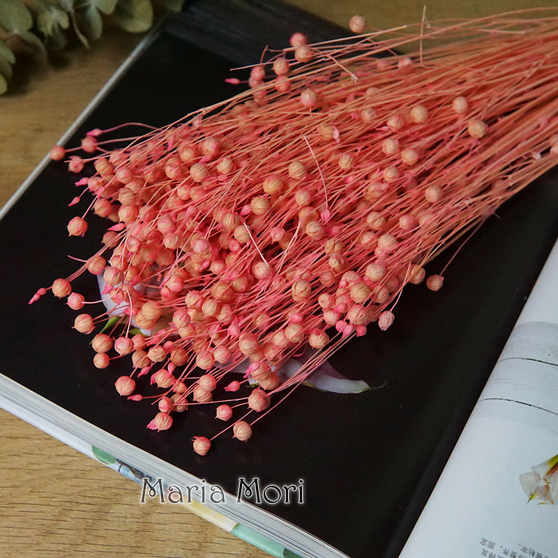 35g/Korunmuş Ormosia Hosiei Do - Home Decor Manufacturers incelemesi ve fiyatı
