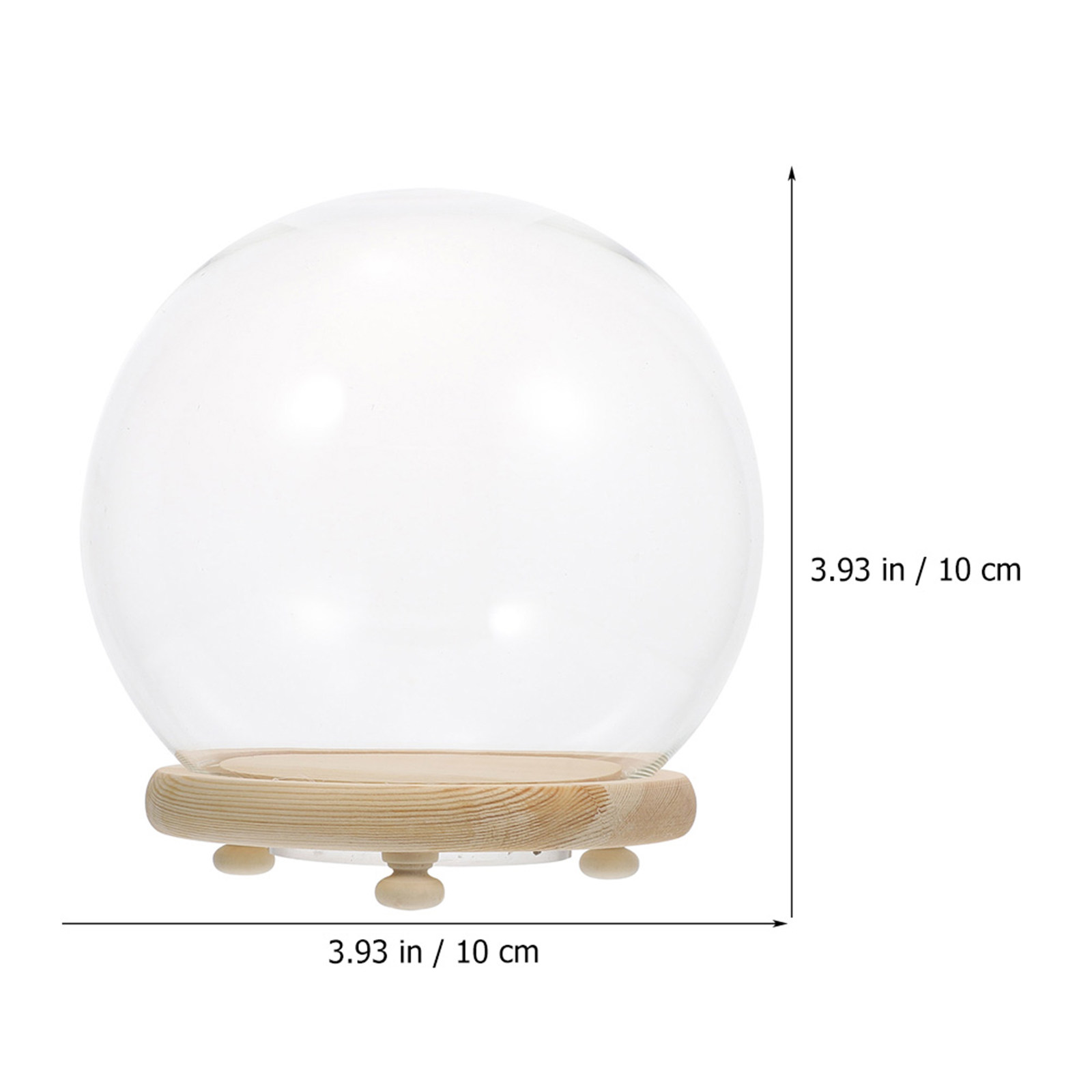 Cam Kubbe Vitrin, Korunmuş Çiç - Home Decor Shop incelemesi ve fiyatı