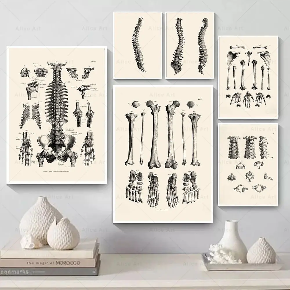 Çerçevesiz, İskandinav Minimal - Home Decor Minimal incelemesi ve fiyatı