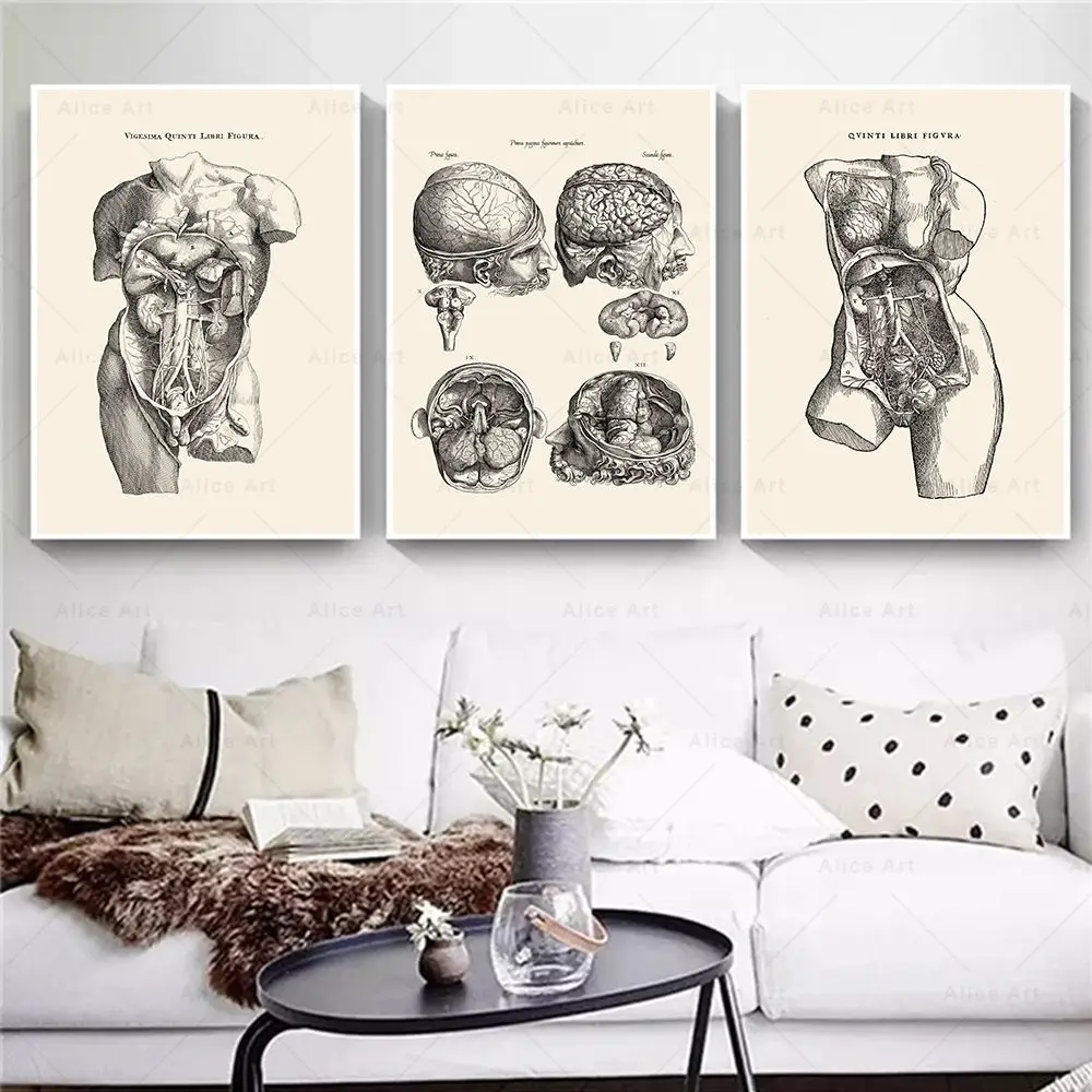 Çerçevesiz, İskandinav Minimal - Home Decor Minimal incelemesi ve fiyatı