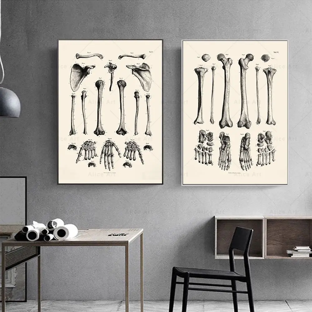 Çerçevesiz, İskandinav Minimal - Home Decor Minimal incelemesi ve fiyatı