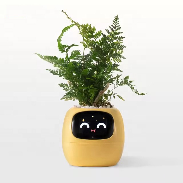 YY Wifi Ai Saksı Sulama Hatırl - Home Decor Ai incelemesi ve fiyatı