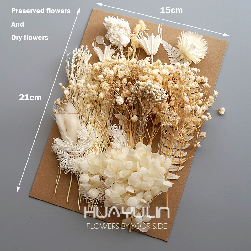1 Paket Yapay Bitkiler Kurutul - Home Decor Manufacturers incelemesi ve fiyatı